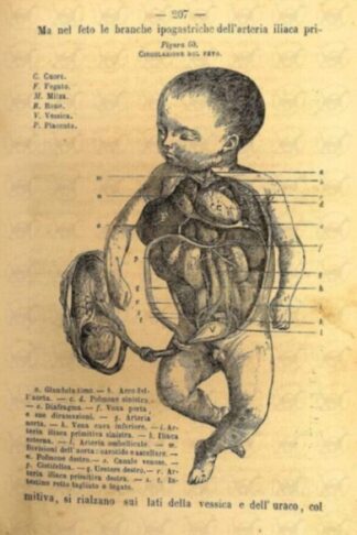 BALOCCHI VINCENZO - Manuale completo di ostetricia ad uso delle levatrici. Con 132 figure intercalate nel testo Quarta edizione destinata alle levatrici
