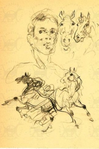 FALZONI GIULIO - Una testa di uomo e due teste di cavallo, Due cavalli