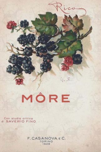FINO LEONE (Rico) - More. Con studio critico di Saverio Fino