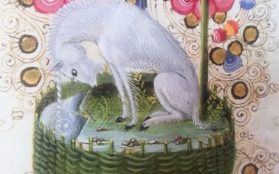 Una favolosa asta di libri introvabili