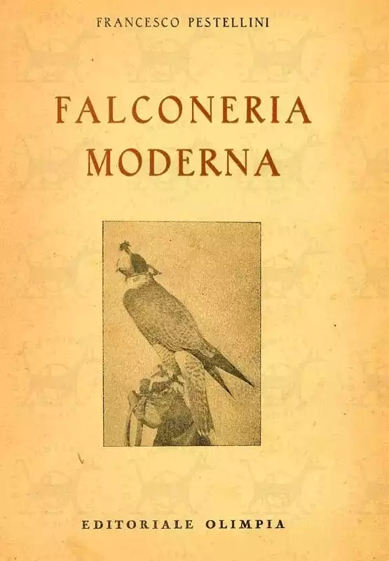 PESTELLINI FRANCESCO - Falconeria moderna