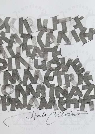 SCHETTIN ANNA - Possibilità praticamente illimitate di nuove simmetrie combinazioni appaiamenti (Italo Calvino) 1