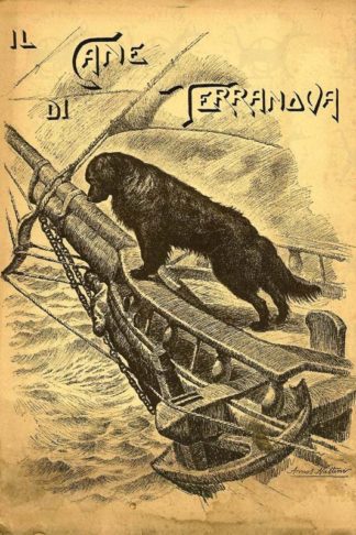 SOCIETÀ ITALIANA TERRANOVA LUCCA ACQUACALDA S. I. T. - Il cane di Terranova. Il Terranova cane da salvataggio Origini Descrizione Caratteristiche Aneddoti Con un estratto dei regolamenti dell’Ente Nazionale della Cinofilia Italiana E.N.C.I.