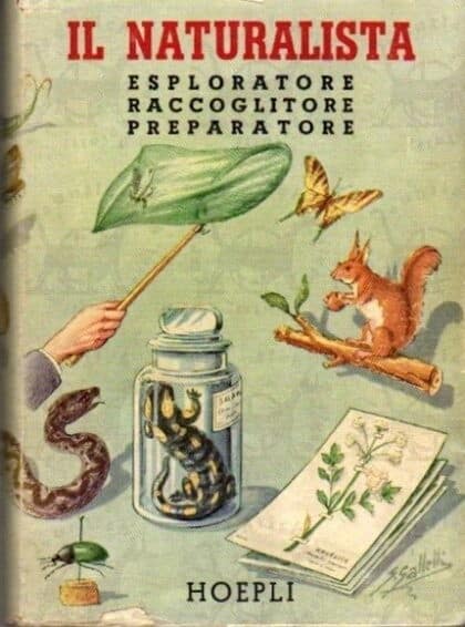 ZANGHERI PIETRO - Il naturalista esploratore raccoglitore preparatore. Guida pratica elementare per la raccolta preparazione conservazione di tutti gli oggetti di storia naturale (animali e piante viventi e fossili minerali e rocce)