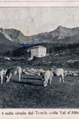 cartolina_d_epoca_strada_del_Tonale_Albergo_locato