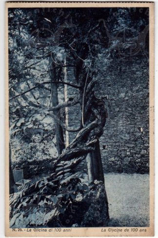 Cartolina_d_epoca_Como _Bellagio_Lago_di_Como
