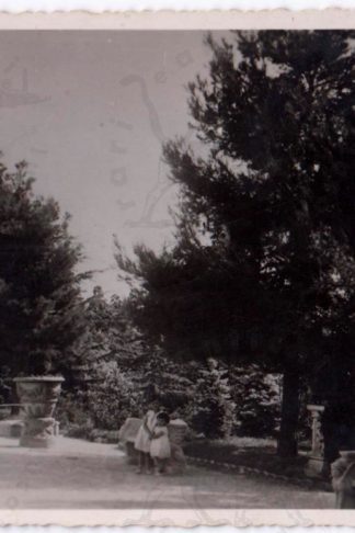 Cartolina_d_epoca_Marche_Ancona_Montecarotto