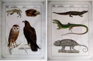 Grafica Stampe antiche e moderne
