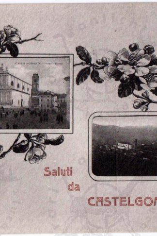 cartolina_d_epoca_Vicenza_Castel_gomberto