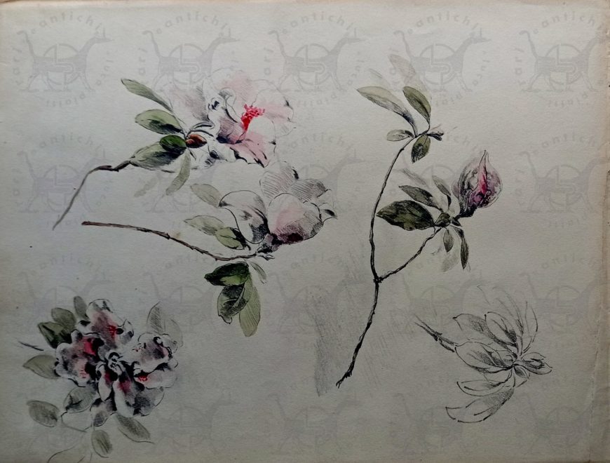 Gielen Gichen Jules Album Illustrato Con Disegni E Acquerelli Originali Raffiguranti Fiori Rari Ed Antichi