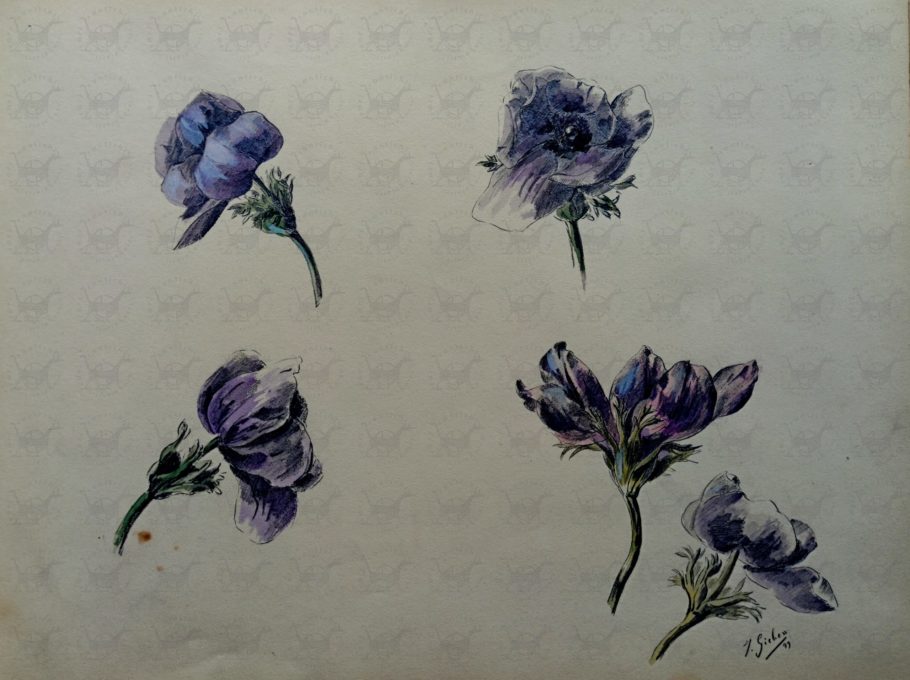 Gielen Gichen Jules Album Illustrato Con Disegni E Acquerelli Originali Raffiguranti Fiori Rari Ed Antichi
