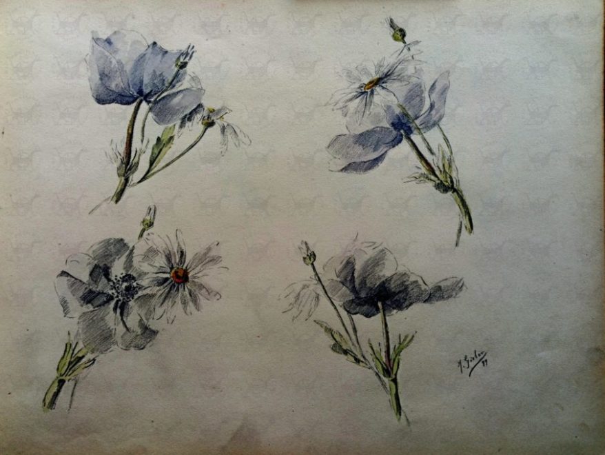 Gielen Gichen Jules Album Illustrato Con Disegni E Acquerelli Originali Raffiguranti Fiori Rari Ed Antichi