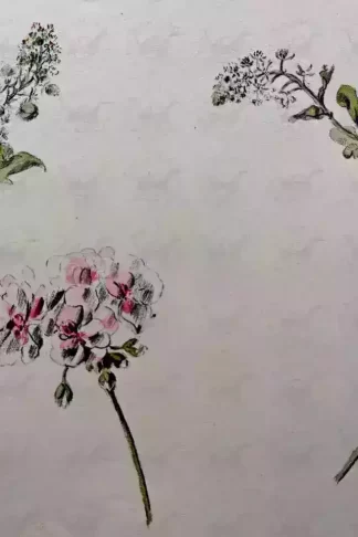 GIELEN GICHEN acquerelli fiori