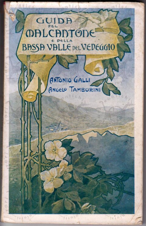 Aa Vv Galli Antonio Tamburini Angelo Guida Storico Descrittiva Del Malcantone E Della Bassa Valle Del Vedeggio Rari Ed Antichi