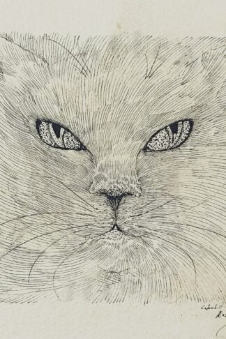 COLOMBOTTO ROSSO Gatto Disegno