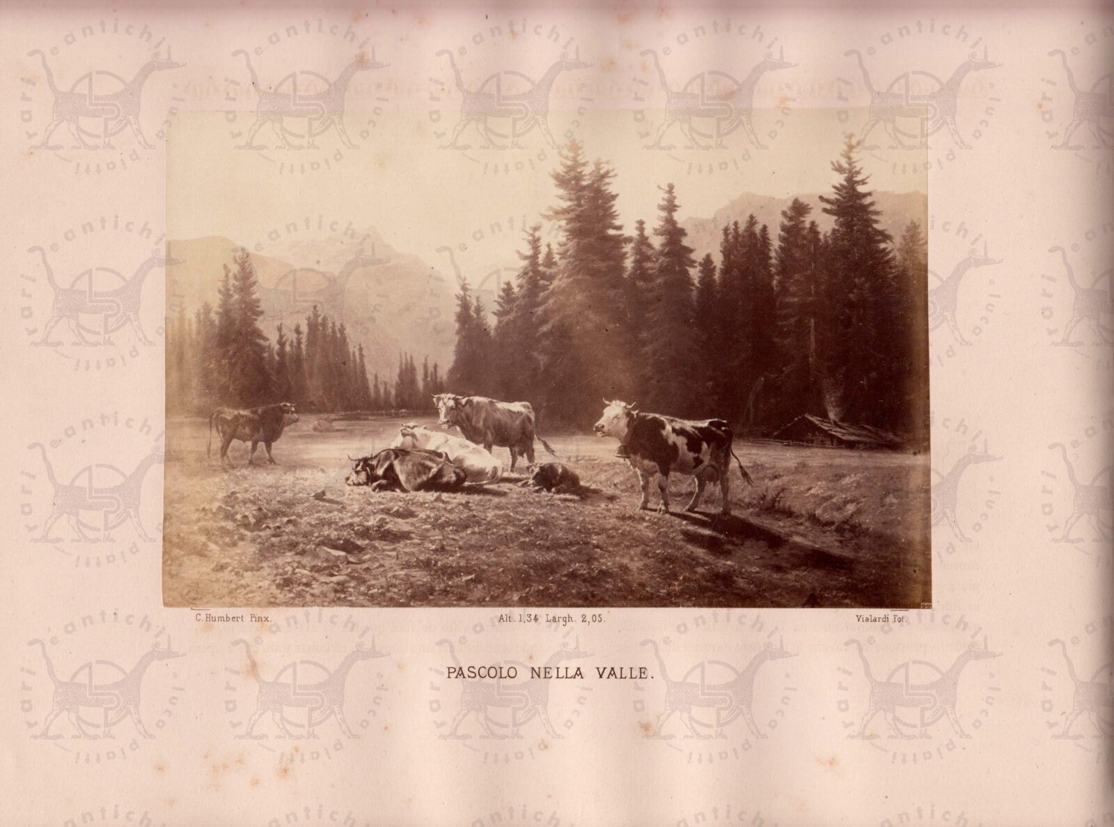 ROCCA LUIGI - Album della esposizione del 1866
