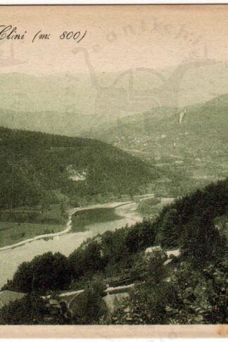 Cartolina_d'epoca_regionalismo_lombardia_varese_Valganna_Frazione_boarezzo_villa_olmi (Copia)