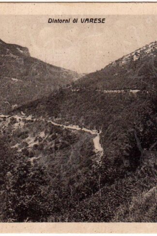 Cartolina_d'epoca_regionalismo_lombardia_varese_campo_dei_fiori_sacro_monte (1) (2)