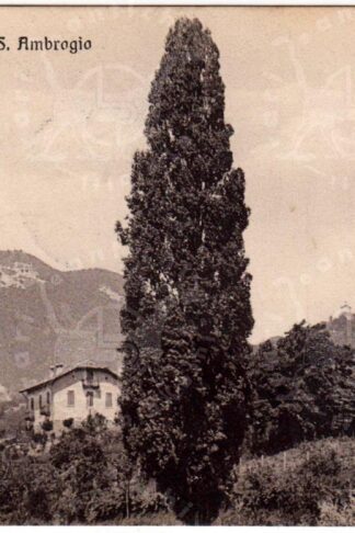Cartolina_d'epoca_regionalismo_lombardia_varese_santambrogio (4) (Copia) (2)