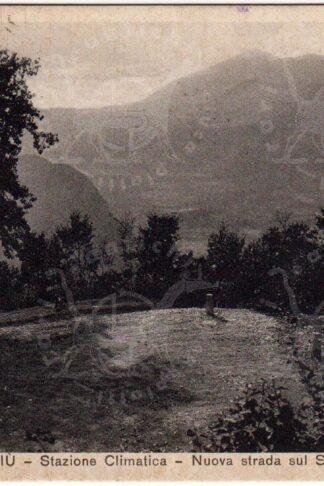 Cartolina_d'epoca_regionalismo_lombardia_varese_viggiu_sant_elia (Copia)