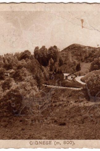 Cartolina_d'epoca_regionalismo_ _Piemonte_Verbano_Cusio_Ossola_Gignese