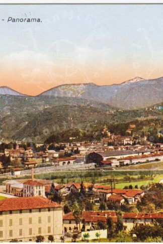 Cartolina_d'epoca_regionalismo_Lombardia_Varese_Luino_Luvino_Lago_Maggiore
