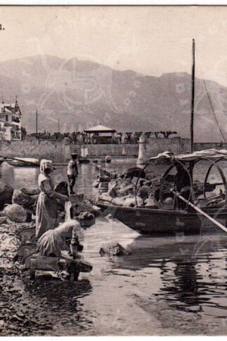 Cartolina_d'epoca_regionalismo_Piemonte_Verbano_Cusio_Ossola_Stresa_Lago_Maggiore