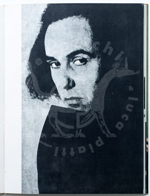 Achille_Bonito_Oliva_Lo_scorrevole_VettorPisani_Libro_ dartista_ Artists_books (3)