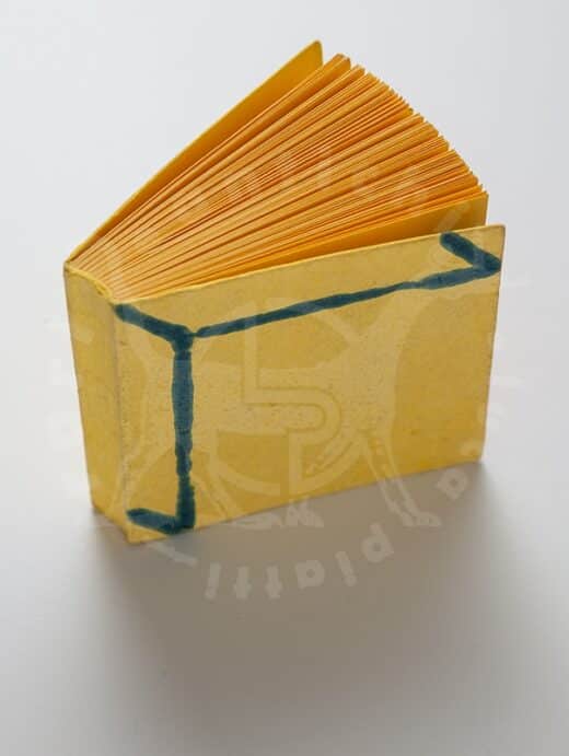 Libro_dartista_Pistoletto_Michelangelo_cento_mostre mese_di_novembre_Giorgio_Persano_Torino_1976_prima_edizione_luca_piatti_librirarieantichi (3)