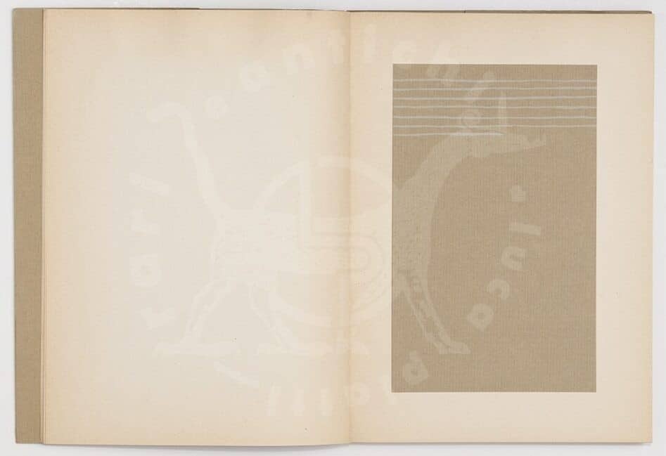 GIORGIO_Griffa_NonCeRosa_SENZA_SPINE_Artists_books_Book_arts_ Libri dartista_ Libri_oggetto_Libro_darte_ Librodartista_Libro_ illustrato_ Librooggetto_Livredepeintre (3)