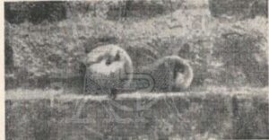 Figura5_Pier_Luigi_Ighina_SCOPERTA_ATOMO_MAGNETICO