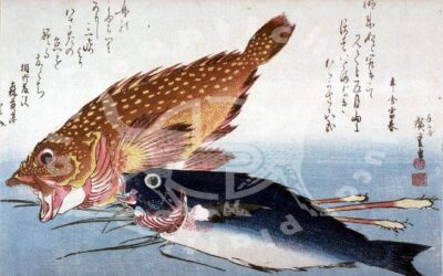 Gyotaku In Giappone indica l’impronta lasciata da un pesce su un foglio di carta