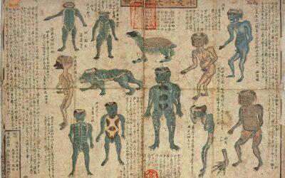 I kappa in Giappone creature di fantasia abitanti dei fiumi