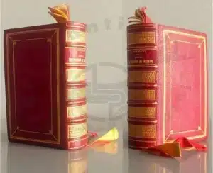 Libri in miniatura il Dantino Salmin