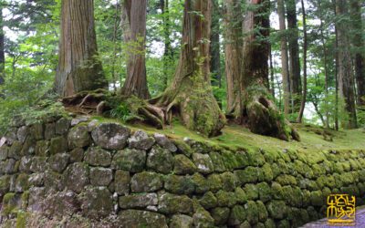 La scienza e l’Ishi no Hoden Un mistero irrisolto in Giappone