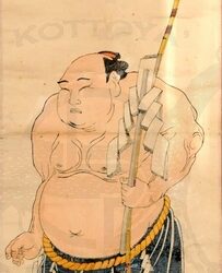 Lo sport del sumo in Giappone
