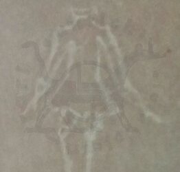 La filigrana le vergelle e i filoni della carta