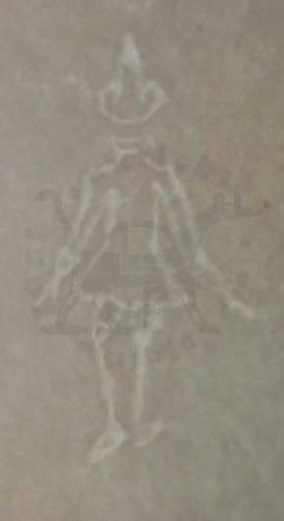 filigrana_vergelle_filoni_carta_PINOCCHIO_SigfridoBartolini_librirarieantichi_lucapiatti