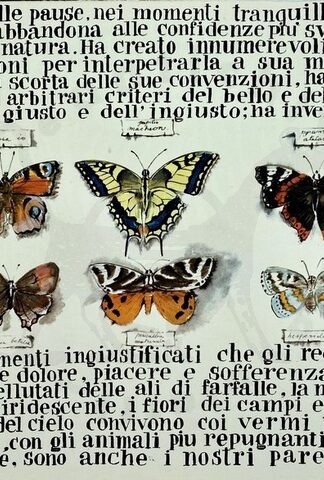 Bruno_Caruso_Manoscritto_Sulle_Meraviglie_Della_Natura_librirarieantichi (10) (Copia)