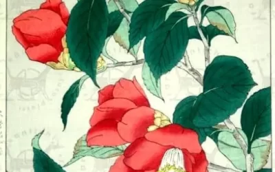 La tecnica delle xilografie Ukiyoe