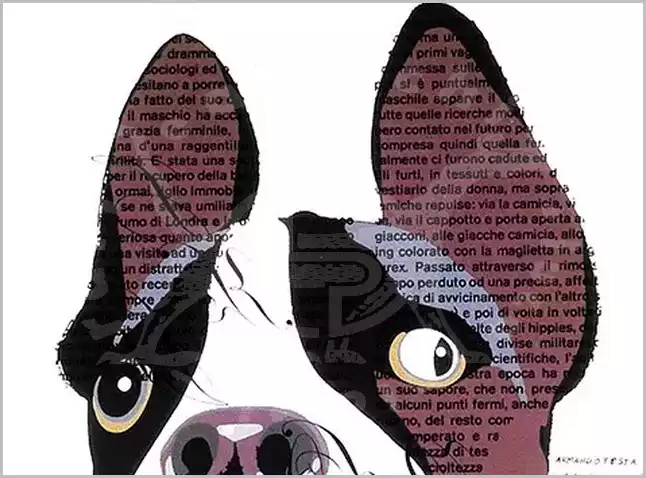 Armando Testa pubblicitario e artista