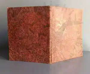Consulenza di libri rari e antichi