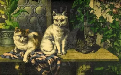 Gatto e gatti degli amici misteriosi