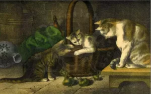 Gatto e gatti degli amici misteriosi