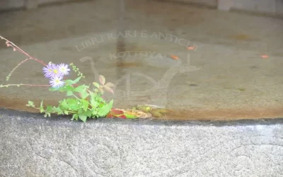 Antiquariato e arte giapponese Kottoya