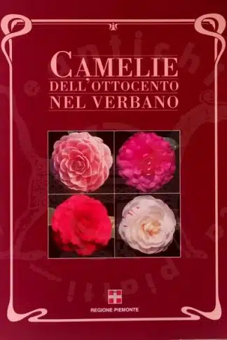 Corneo Remotti Camelie Verbano