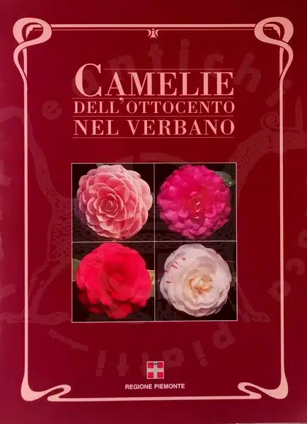 Corneo Remotti Camelie Verbano