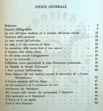 Palamidessi alchimia via spirito