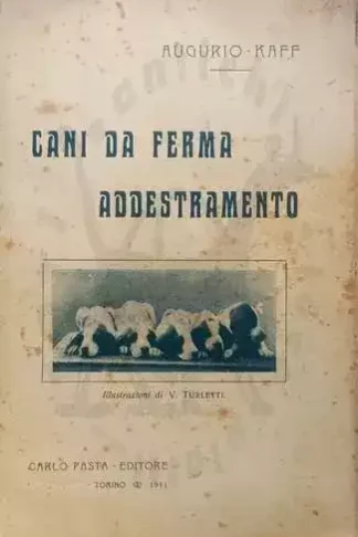 delfino felice cani ferma