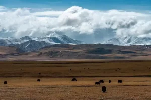 Exploration of Tibet by Giuseppe Tucci